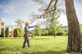 Best Utility Line Clearance  in Sleepy Hollow, NY